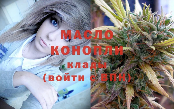 дмт Богданович